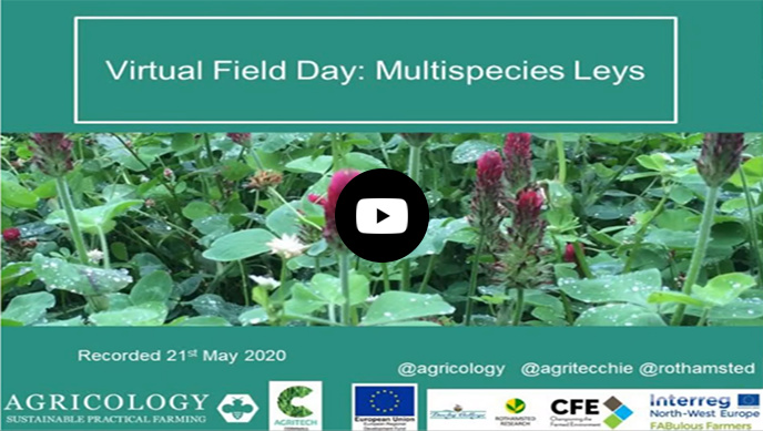 Virtual Field Day: Multispecies Leys part 1